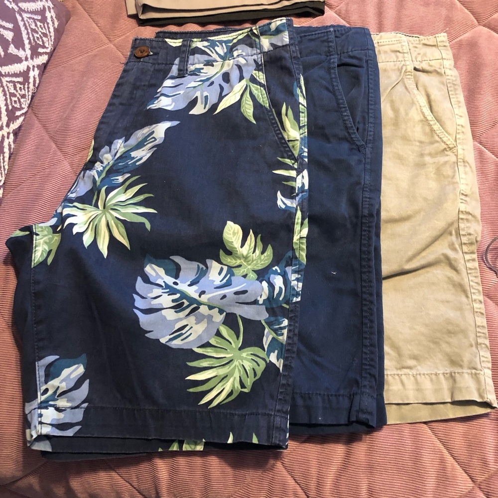 American Eagle Outfitters Navy Tropical Print Flat Front Shorts